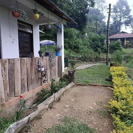 Little Cub Homestay Kalimpong Bagian luar foto